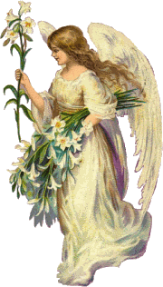 Angel 4